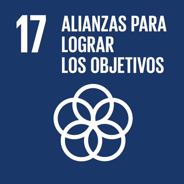 S SDG goals icons individual rgb 17